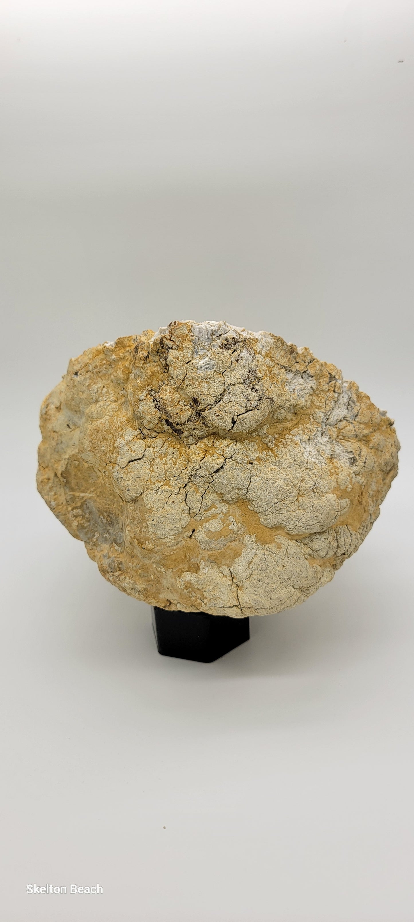 Expansive Quartz Geode: A Beacon of Clarity and Energy | 3800 grams